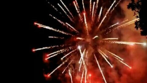 Happy Diwali Wishes Video Download
